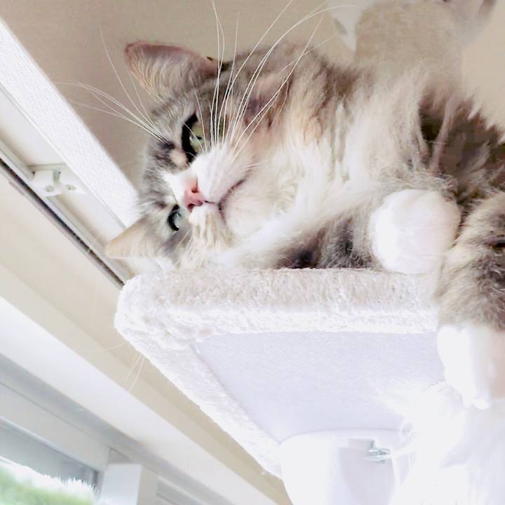 7b3d78c3 6c07 46b7 95e0 b2cae0d874d0 1525146161870