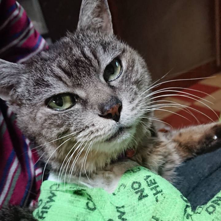 7b3d8f9d a1ff 461d 9897 6255dc413a85 1587119912667