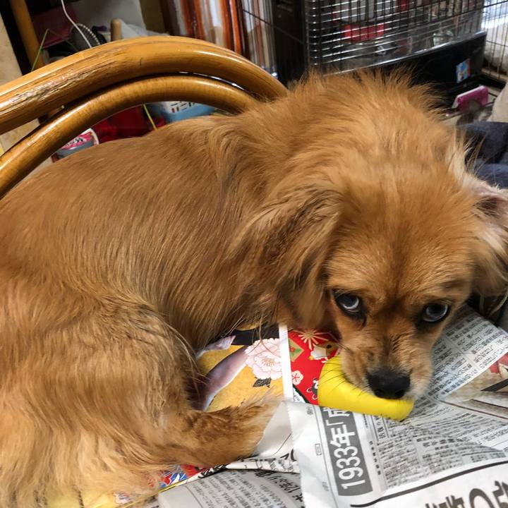 7b3d9e9e 42e1 4a6d 8a94 75677b55a395 1515370621660