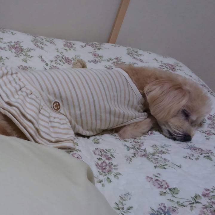 7b3dc358 16ef 44f9 825d 571127f85aae 1538682464943