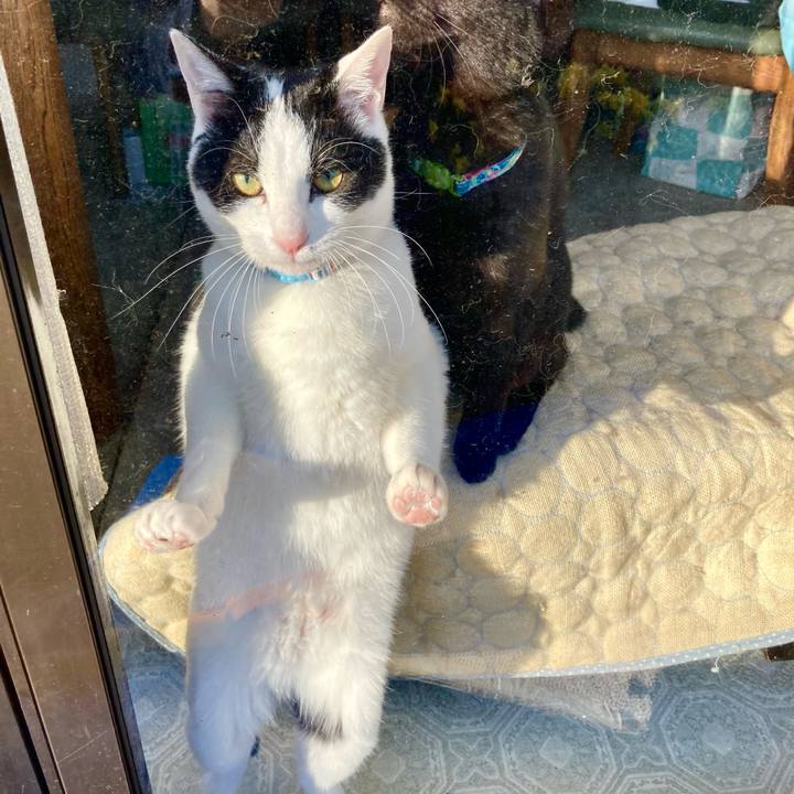 7b3dda85 0db9 45fa 961d ebf7efec1558 1649490458932