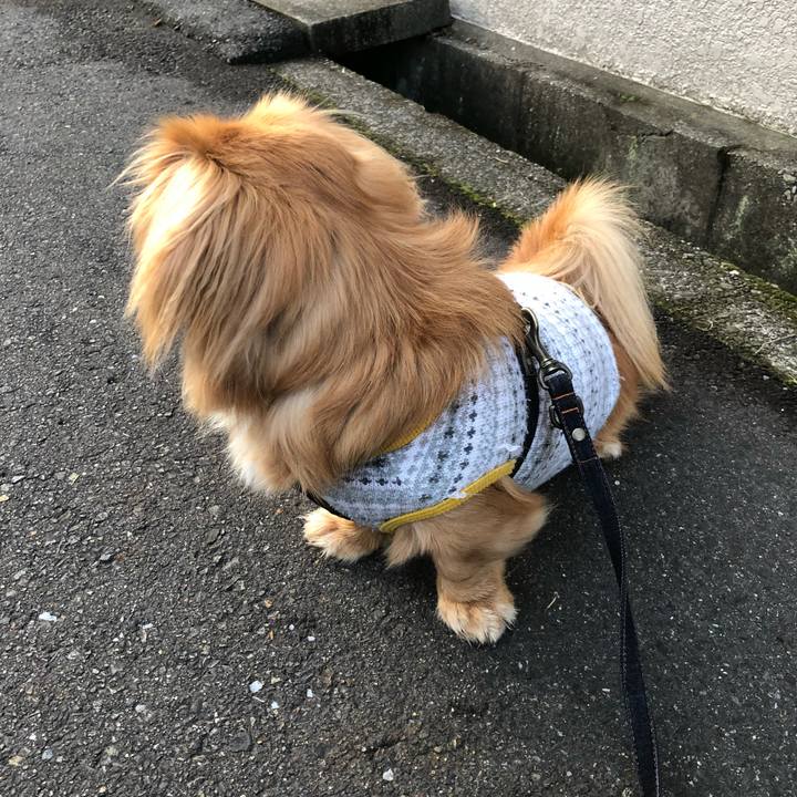 7b3ddffd d15d 417c 8da0 c6d5734751fc 1520287564850