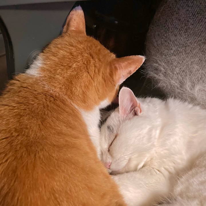 7b3deefe dfea 4960 965f 93675a6548e6 1726389318373