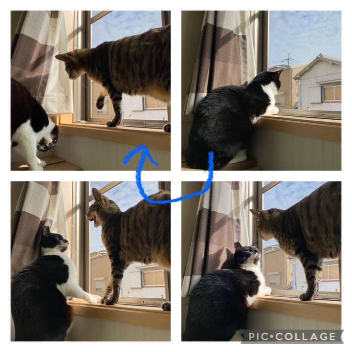 7b3e0a4a 5903 448d bab6 b808f2be4ef7 1679346375163