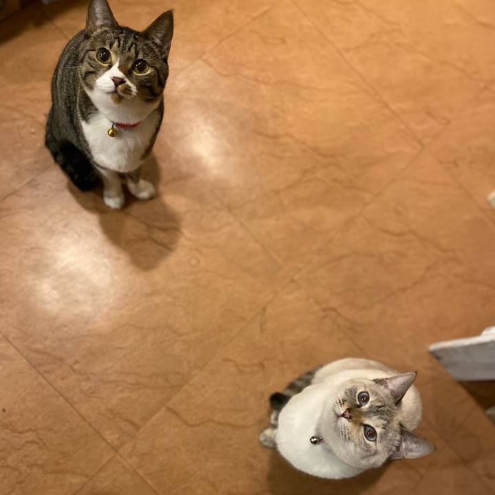 7b3e0c26 b3bc 4e96 a946 904aa0459bc3 1672581311494