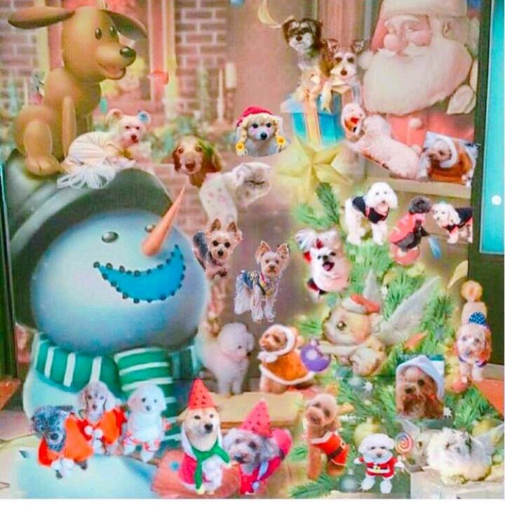 7b3e424a 3cd5 4bcf 9683 5faee093fccb 1512802797368