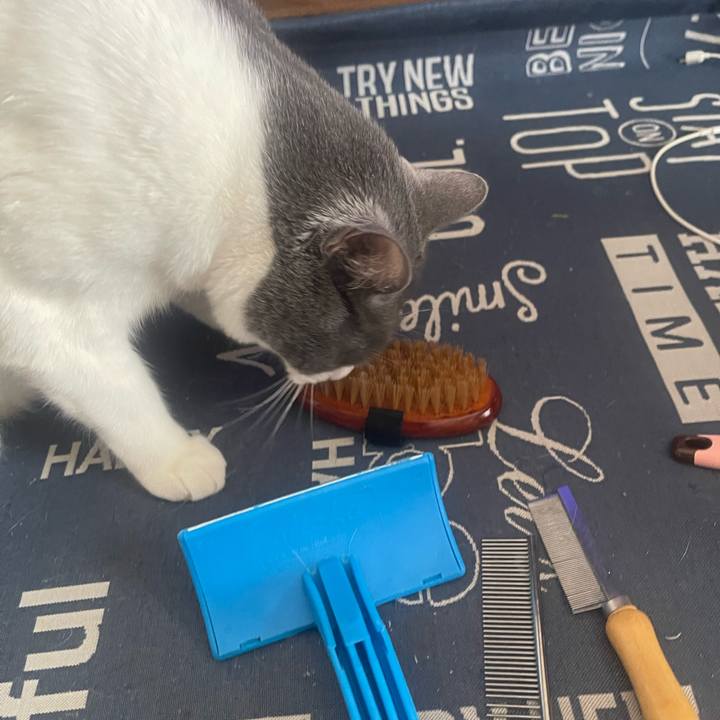 7b3e63ba 27f7 4973 85bb 015ed0c765ac 1722751427447