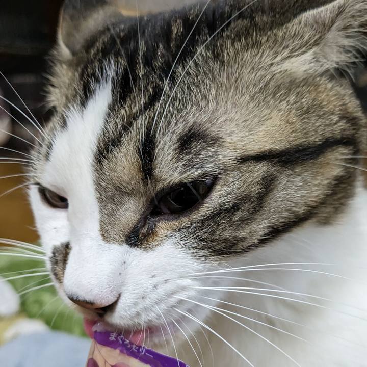 7b3e6915 4333 4773 a45c 75fc1ecf7e08 1674393644838