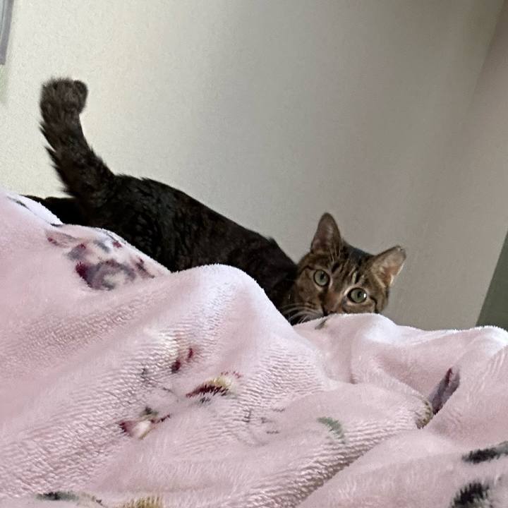 7b3e9872 f578 4c6a a8a3 d9ee92b660a0 1762566003996