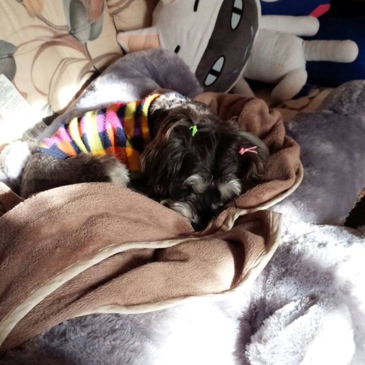 7b3eb090 e934 408e a58b 045a04828fa7 1509871120520