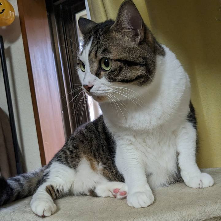 7b3ec7d8 2f77 4b89 954a 9e82d95a2a23 1694219343687