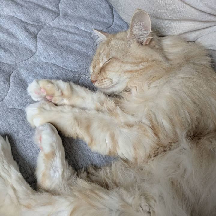 7b3ed2b2 4048 4976 b041 2566f8a96a64 1761440653169