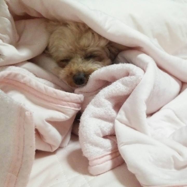 7b3ed343 1cac 4a81 823f 3877737a0552 1528118302857