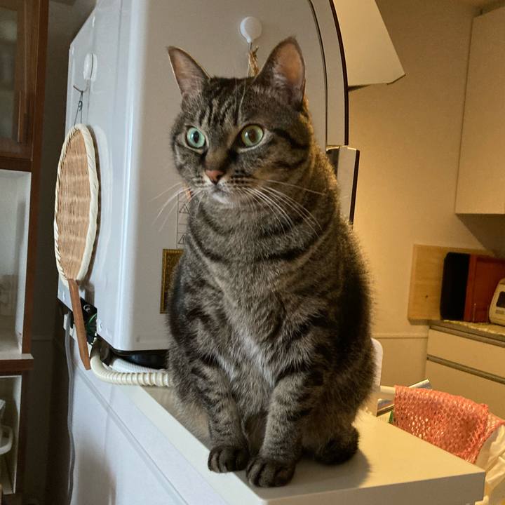 7b3ef91e 579a 489f 8528 01770250f89e 1607902237163