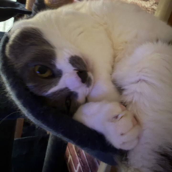 7b3efa79 71b5 41dc b097 9fb5335a5940 1761551088596