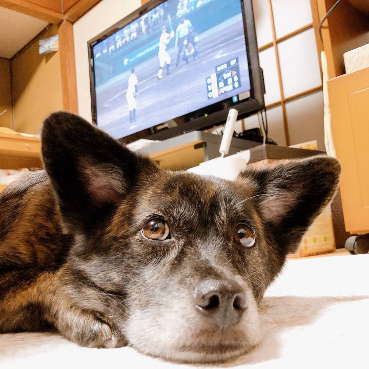 7b3f0c72 607d 4294 89a8 70321b9cc02c 1565951965743