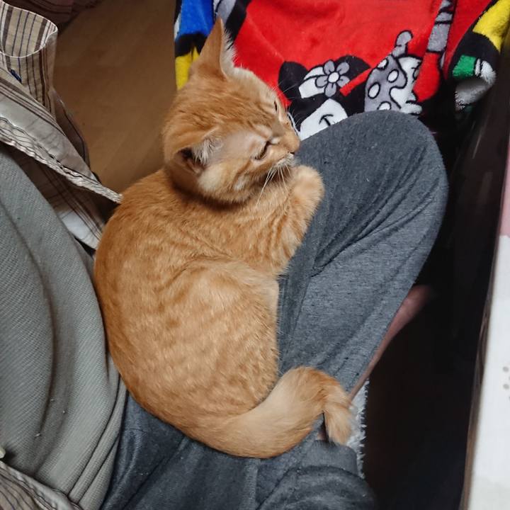 7b3f1051 76e8 4b24 a7d4 b10c22ffda5e 1633812905010