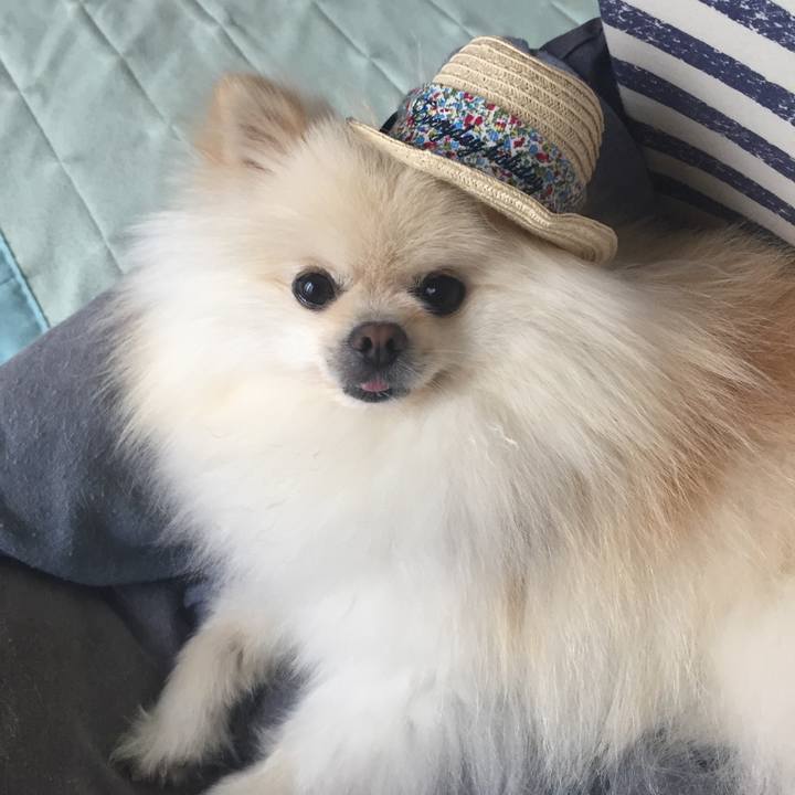 7b3f2913 fb94 420d 8e6c 7dd0bb0d4be1 1531361562801