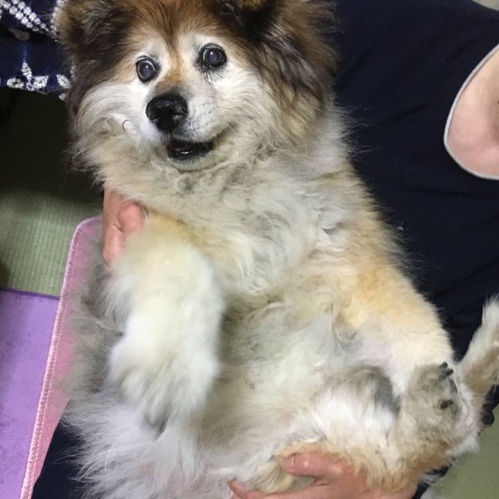 7b3f486c 735f 47bd 9357 00e2524f97fe 1589158460152