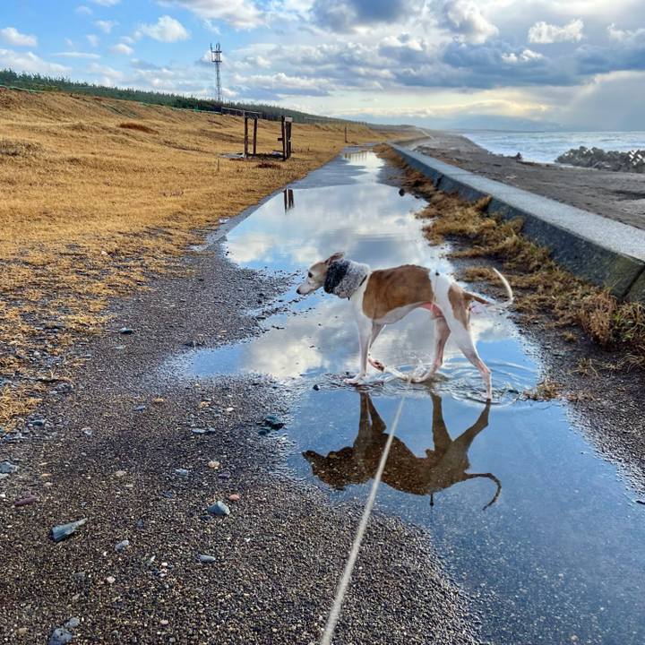 7b3fa169 b455 41e2 95aa 196203c00ae7 1764749968222