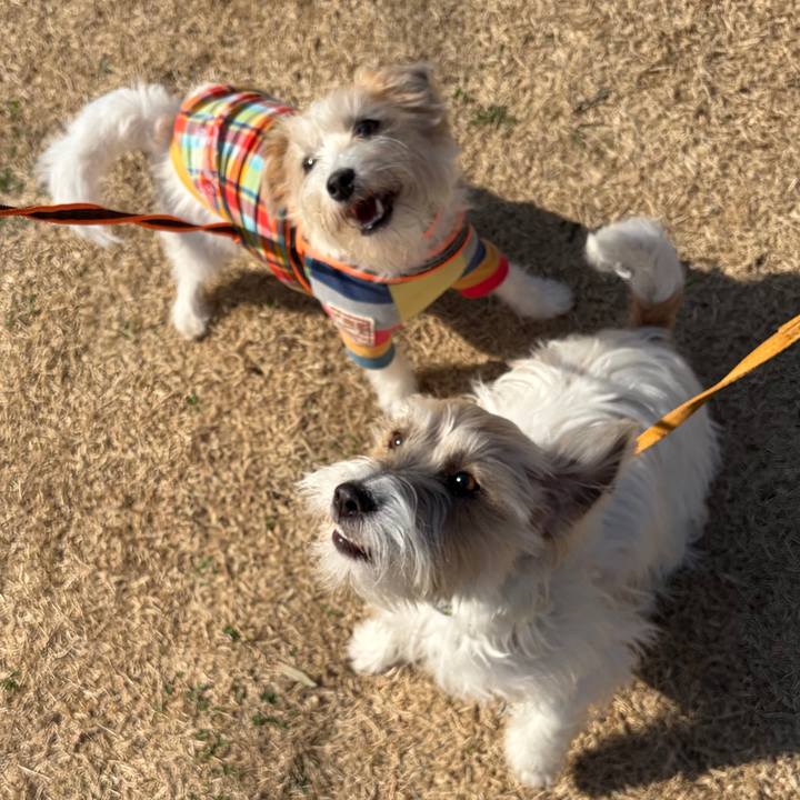 7b3fc22e e9d7 4ef3 a81d 5ef51bbcaf81 1772269328114