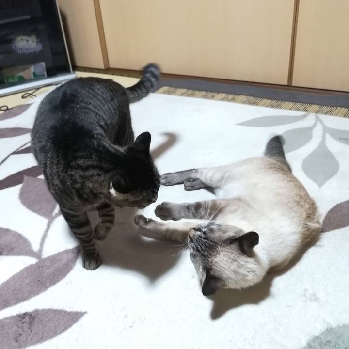 7b3fc678 a401 490e 9c4a fda18dd12ae7 1542111286015