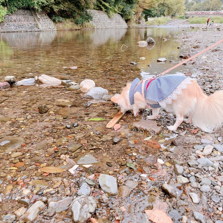 7b3fcff0 f707 4f15 882f f89c2fe05577 1663737494508