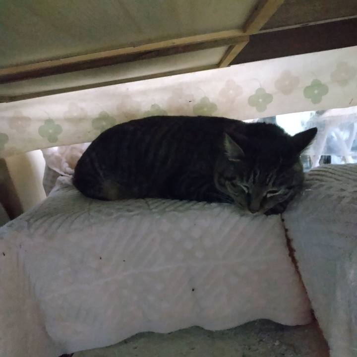 7b3fd157 34eb 472d bd65 942909b3e1fb 1676327766123