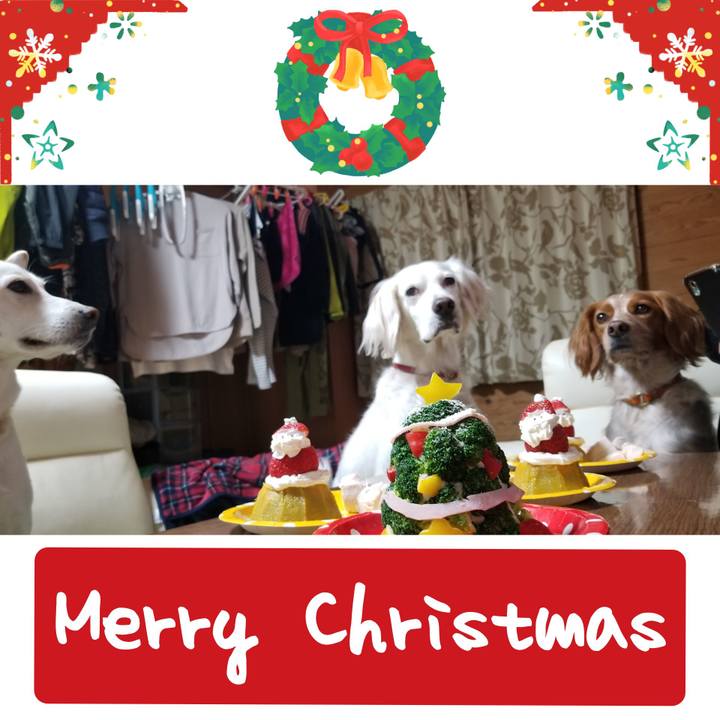 7b3fee94 ce66 4c8f a03b f882c72a2633 1608897939704