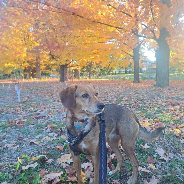 7b401f03 be34 43b6 8004 b34364fdaa5c 1761745483422