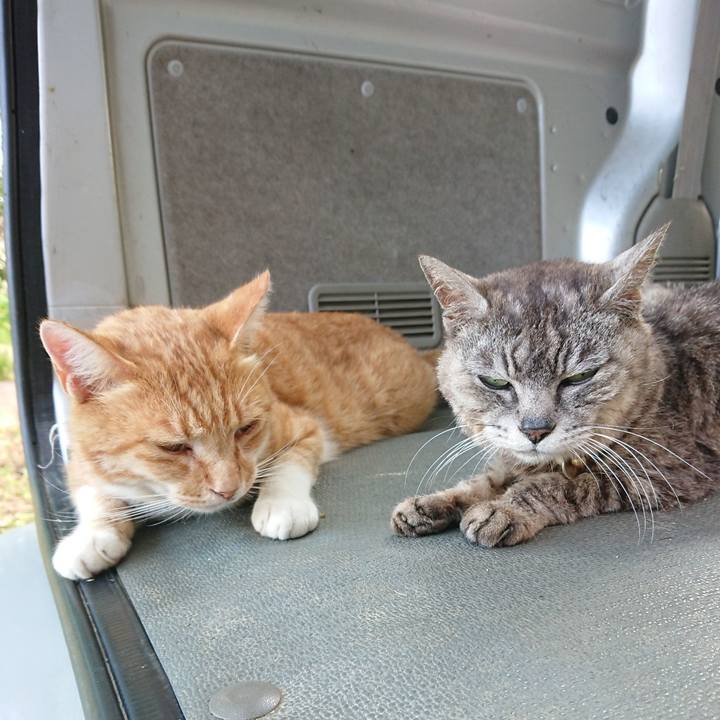 7b407576 056e 458d bb88 0173030c68fd 1596354158676