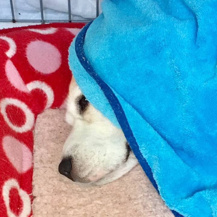 7b40ed3f edfb 4a01 8328 47e61fba11ce 1555426053062