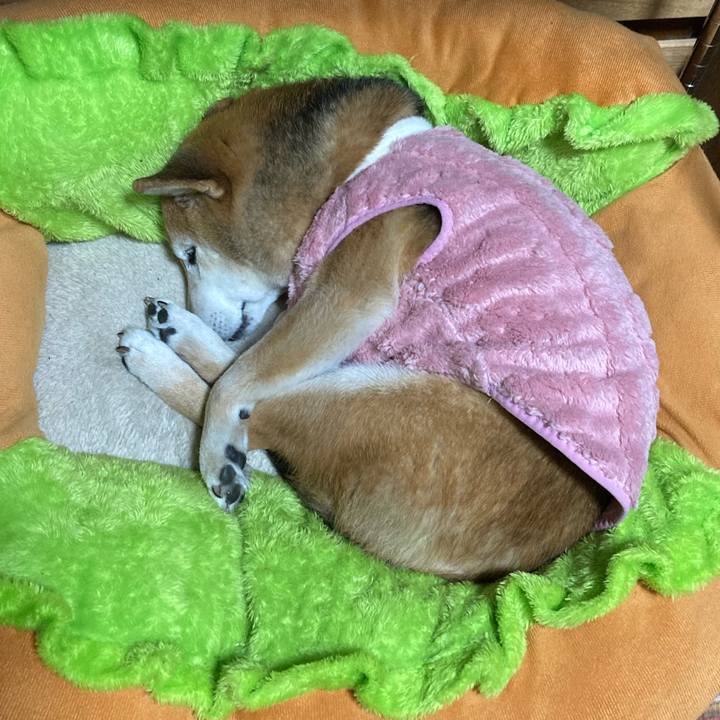 7b40f163 0b60 47dd 9ec8 49574f3f0d14 1766668457256