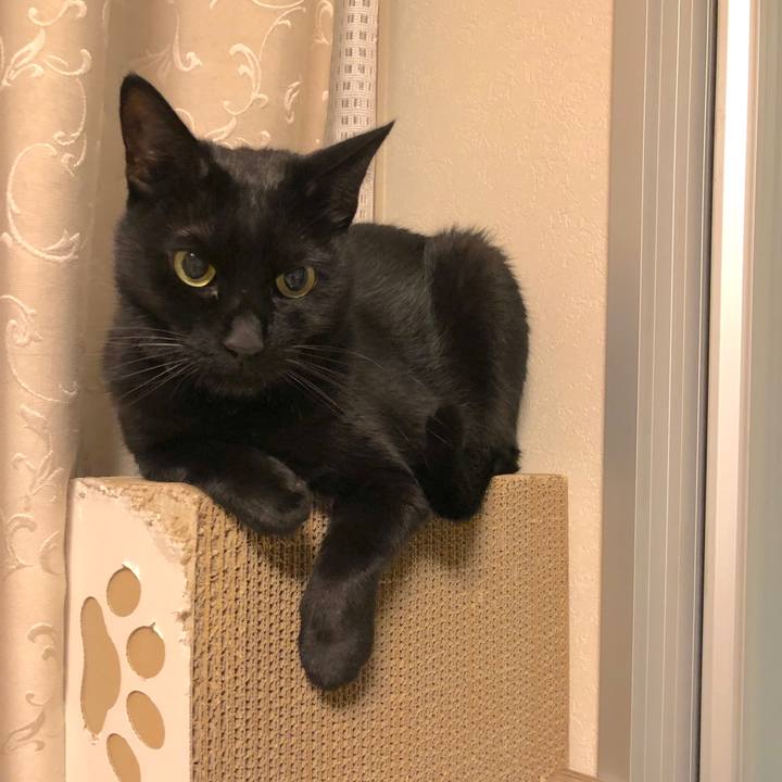 7b4104df 47d3 4a2c be7a c6a107f9486f 1571569500334