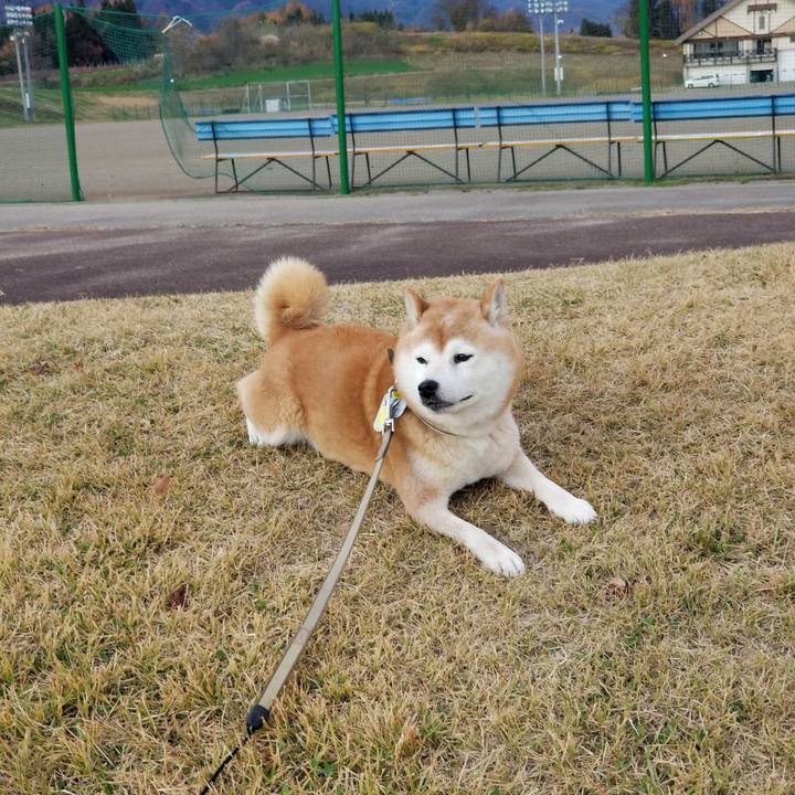 7b4108e7 a6bd 4d2e 9541 c794af0ed4ef 1669013704433