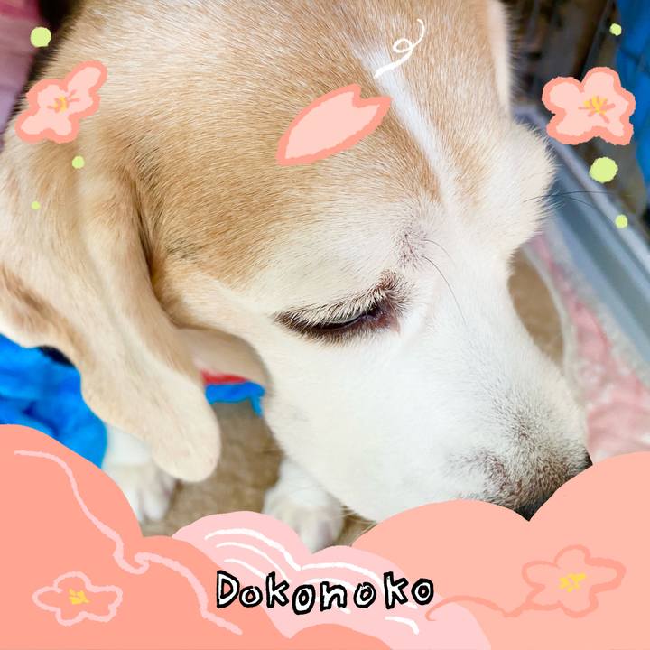 7b4131f7 7e3a 462e a581 b98937dd85e9 1775216748935