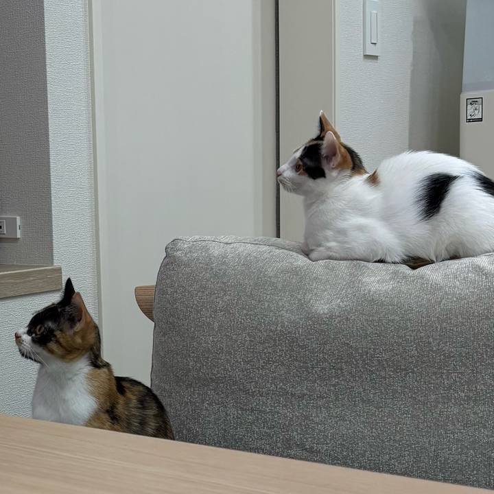 7b413830 8dab 4d8f 8930 ecd37ca068fc 1761981480159