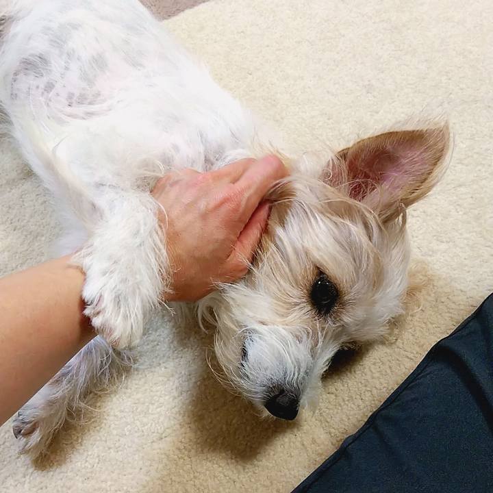 7b413a62 8f26 4838 afc5 0a5d98c432fb 1615079416440