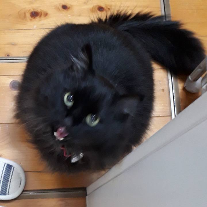 7b413b56 d3b3 42ef addf 4ad6686c1f93 1523998106625