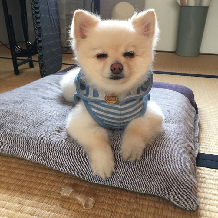 7b41b2b4 72cf 4391 9763 2402edad00b0 1556498892402