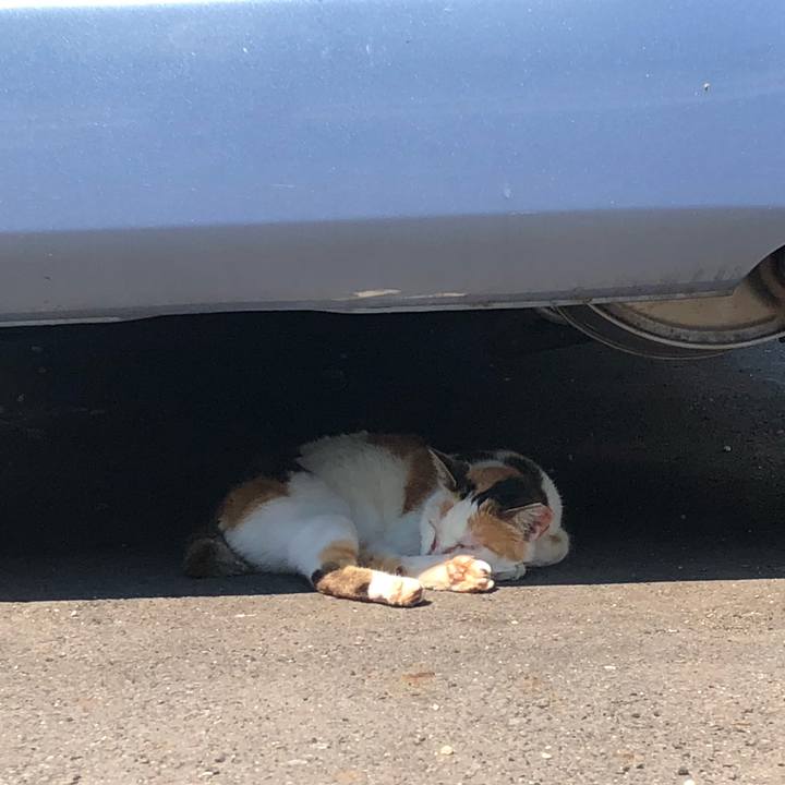 7b41caef 7505 4561 9c9c 84d4eca78b88 1623310105323