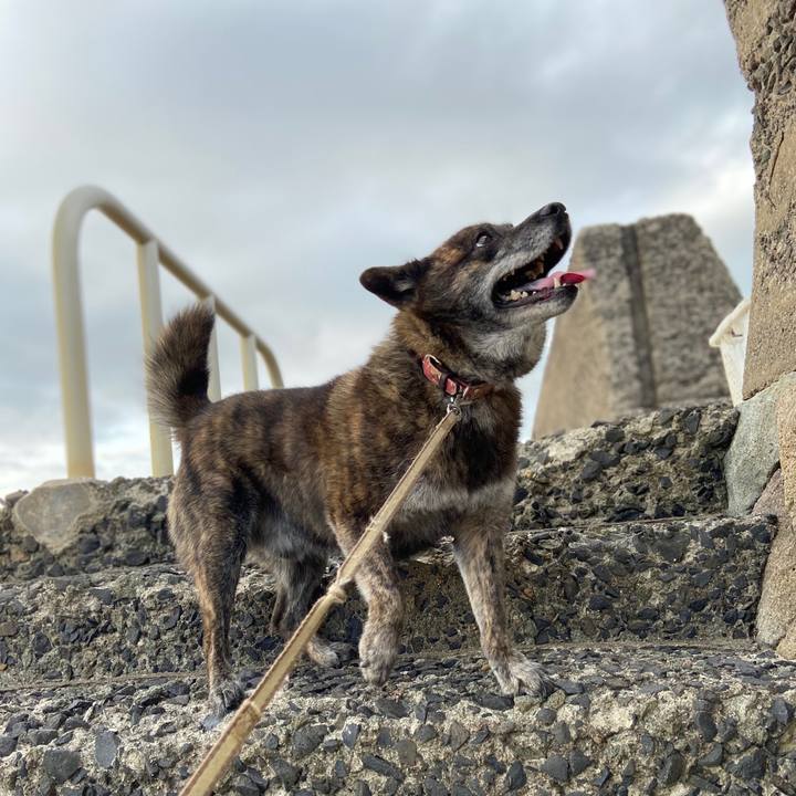 7b41d583 be04 447a 9e02 0fff6ee19221 1593342300016