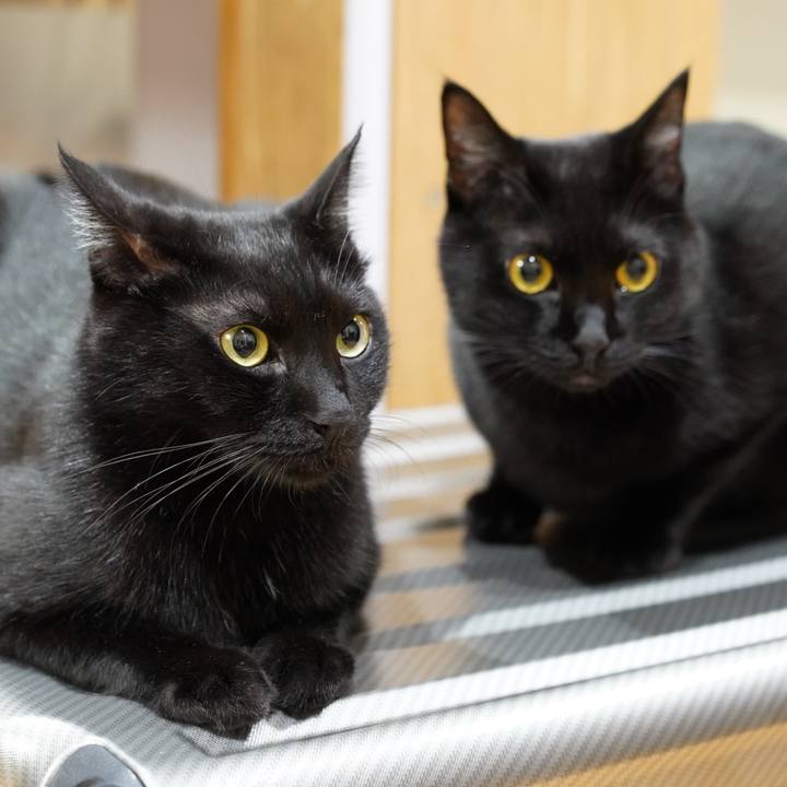 7b41efb1 3093 457f 8c92 8c4ce5e6c3af 1572621711619