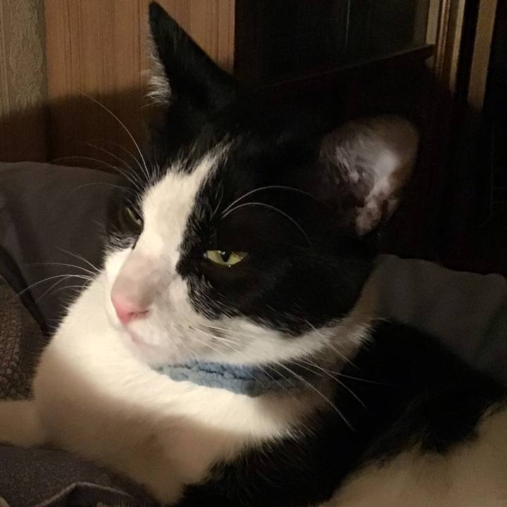 7b4224b1 7cb5 49db a504 9bdc6160acd5 1665846140353