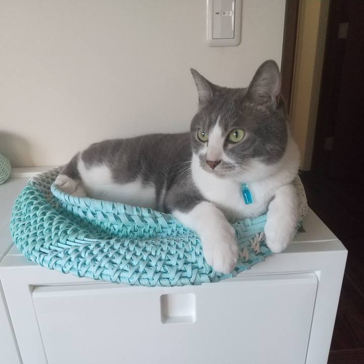 7b4238bf bb15 4817 b53e bf50a35d0260 1651786444370