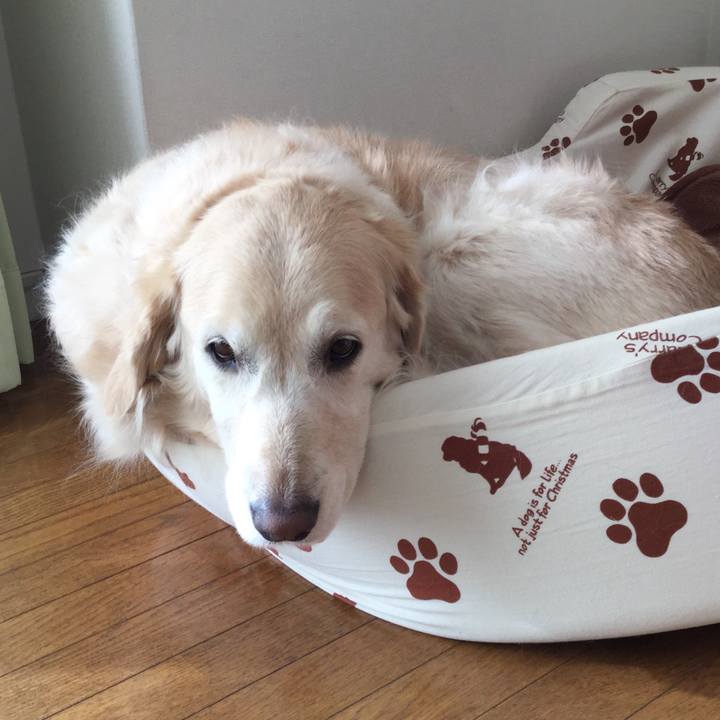 7b42417b c349 439d 8053 67df8955365b 1548979910692