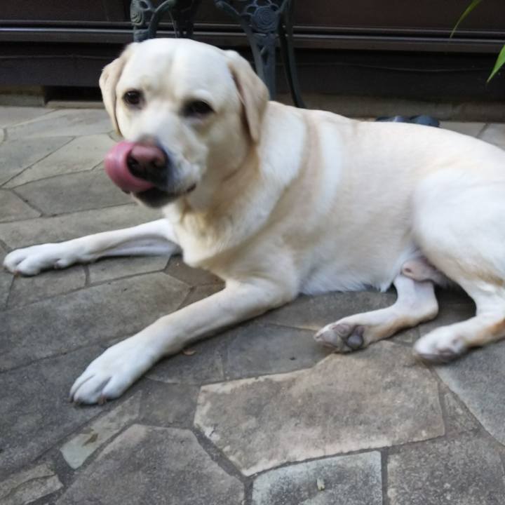 7b427b1c c16f 4154 9b58 abda4a4093e0 1540970554566