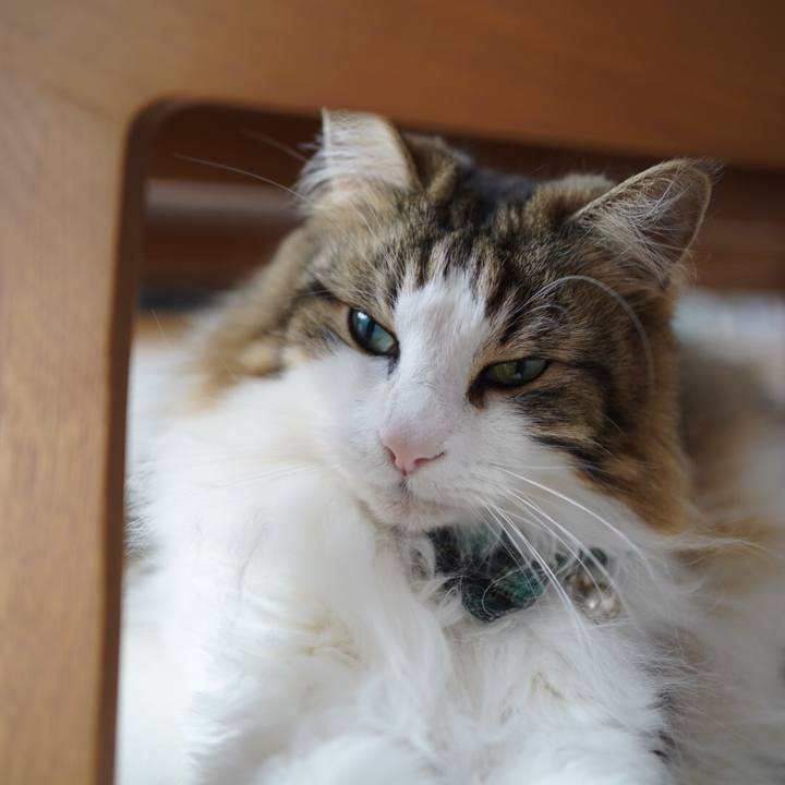 7b428668 a1be 482b ab30 62ff56bd9dce 1622452531230