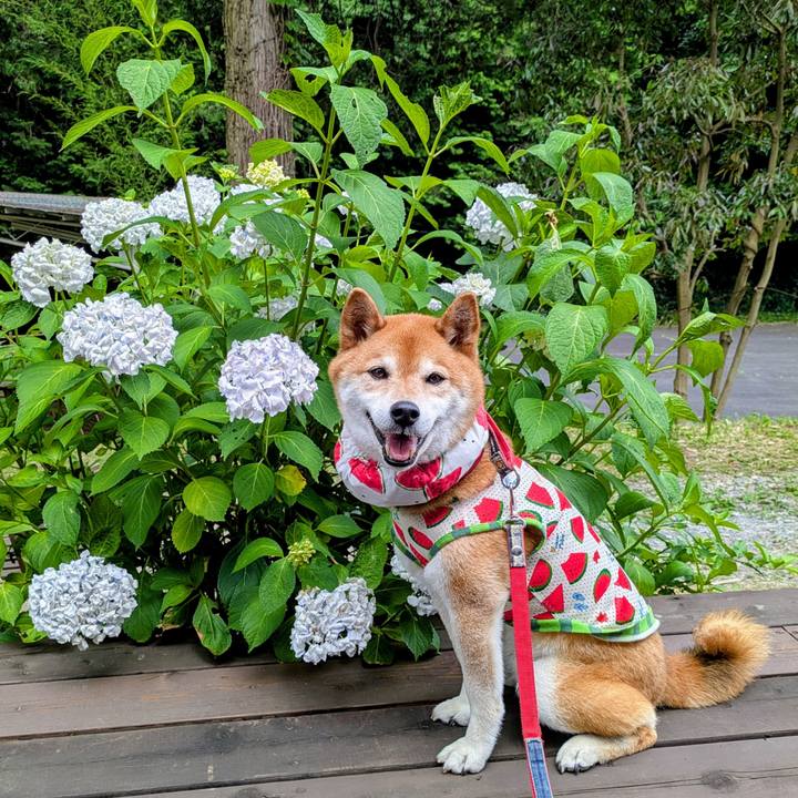 7b428860 e036 4398 a71a cb5478415699 1750733492163