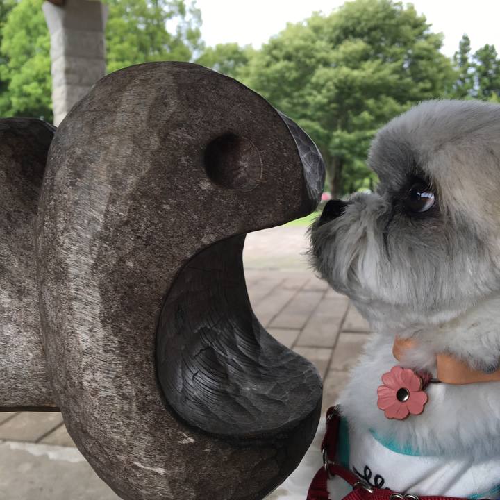 7b42970c cda1 458c 9c49 61dff0dc487b 1535088910540